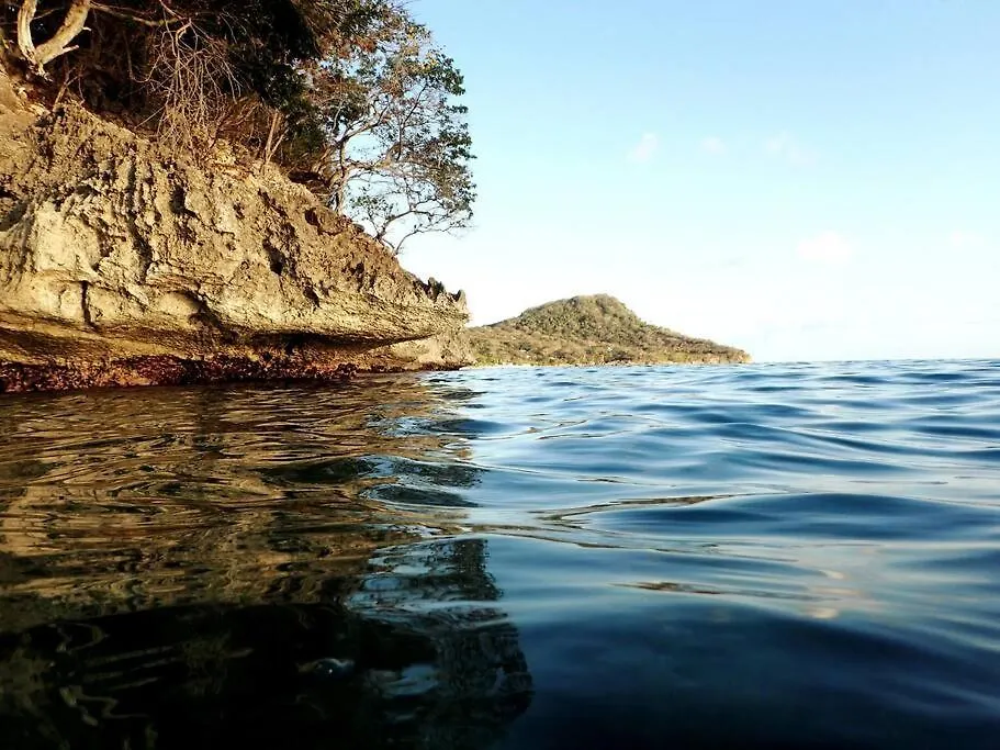 Bellavista - Blue Lizard Studio Fresh Water Bay 0*,  Colombia