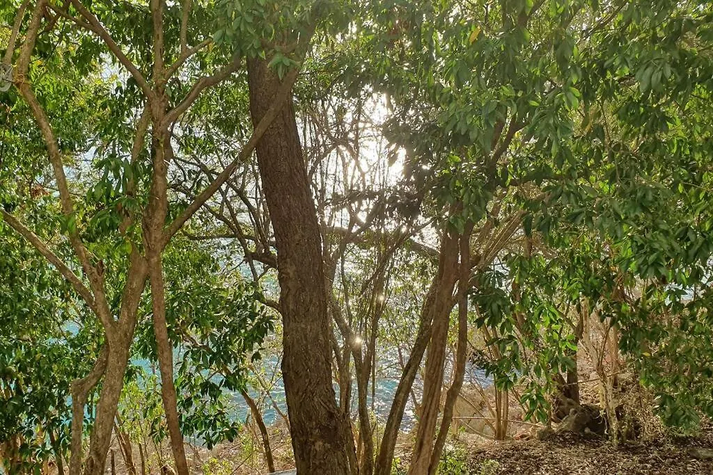 Bellavista - Blue Lizard Studio Fresh Water Bay